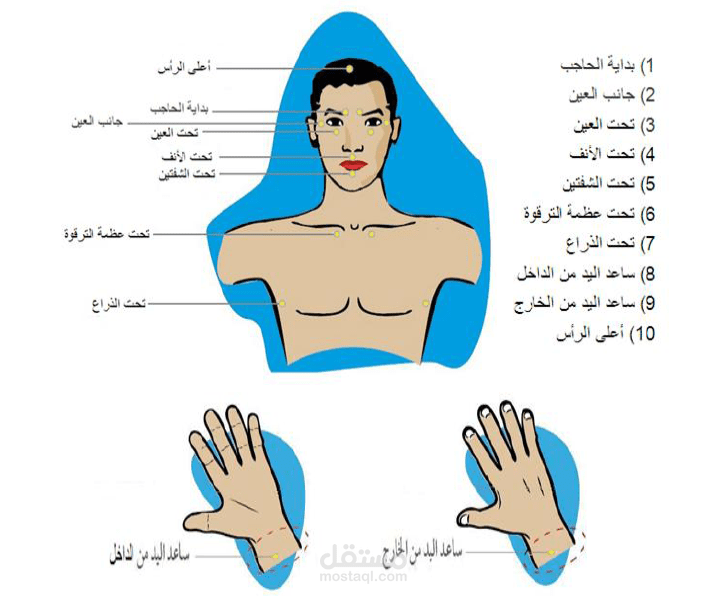 مقال عن مسارات الطاقة في جسم الانسان