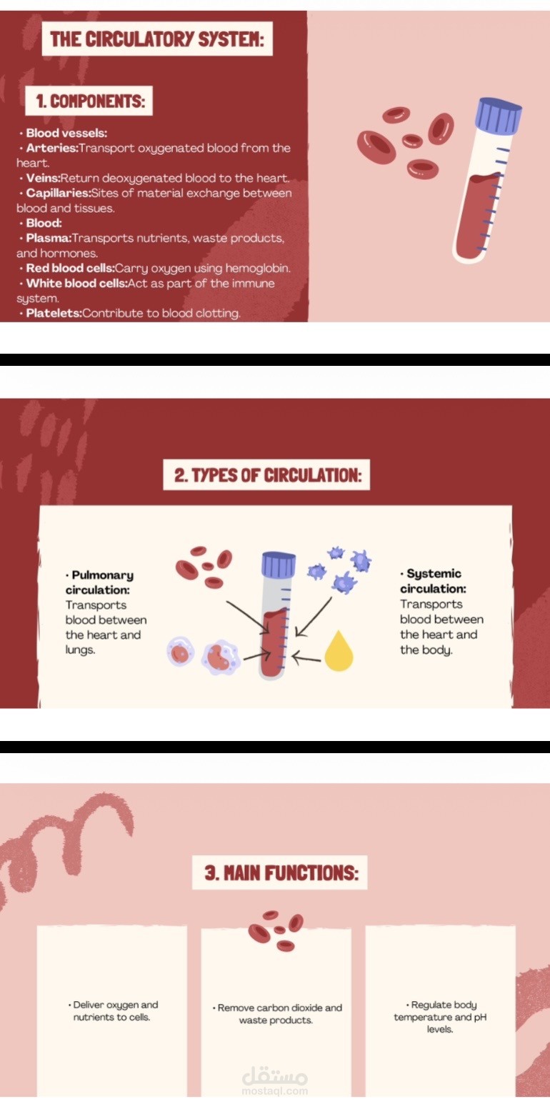 عرض تقديمي برزنتيشن ( Presentations )