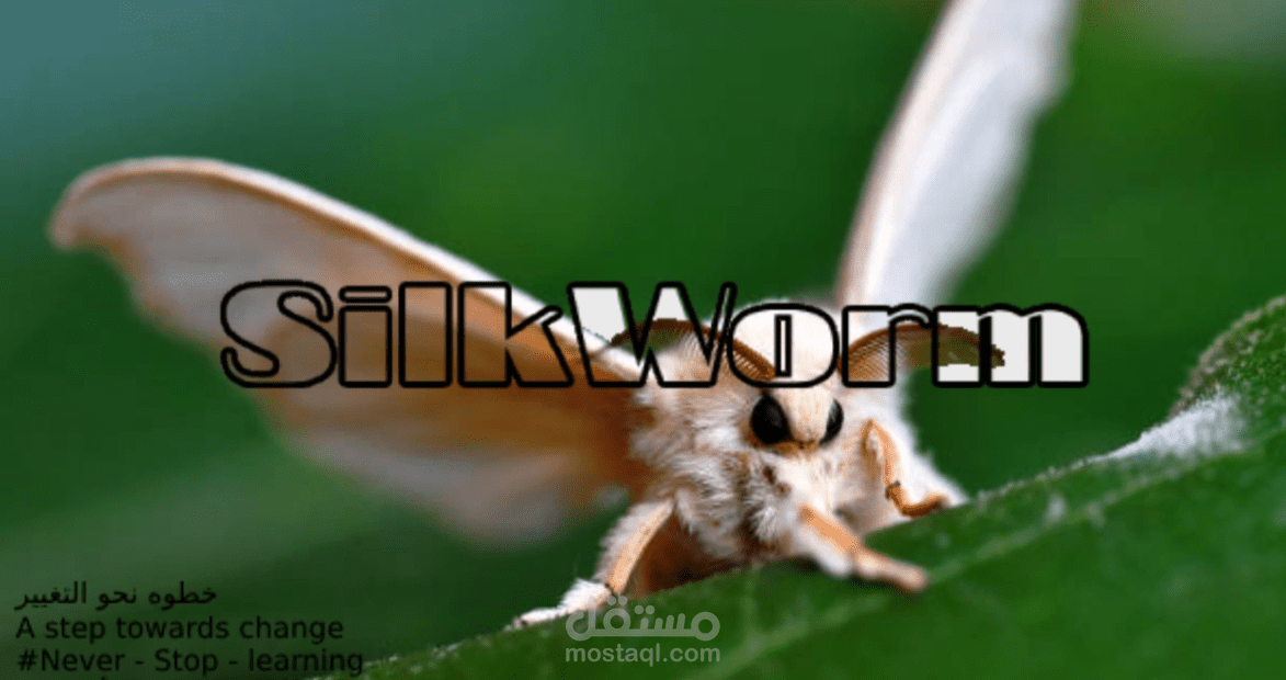 فيديو تعليمي