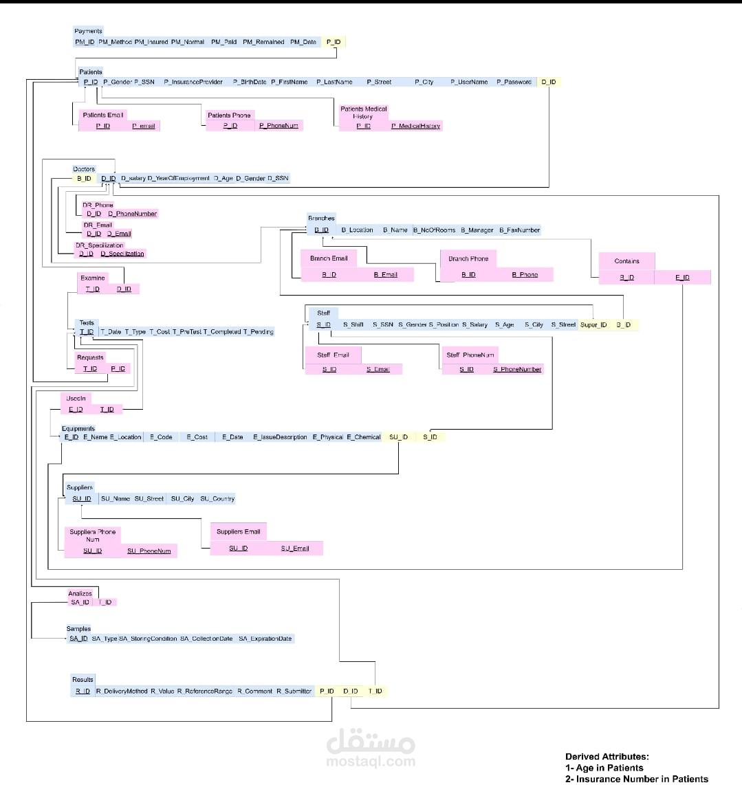Database System for a laboratory