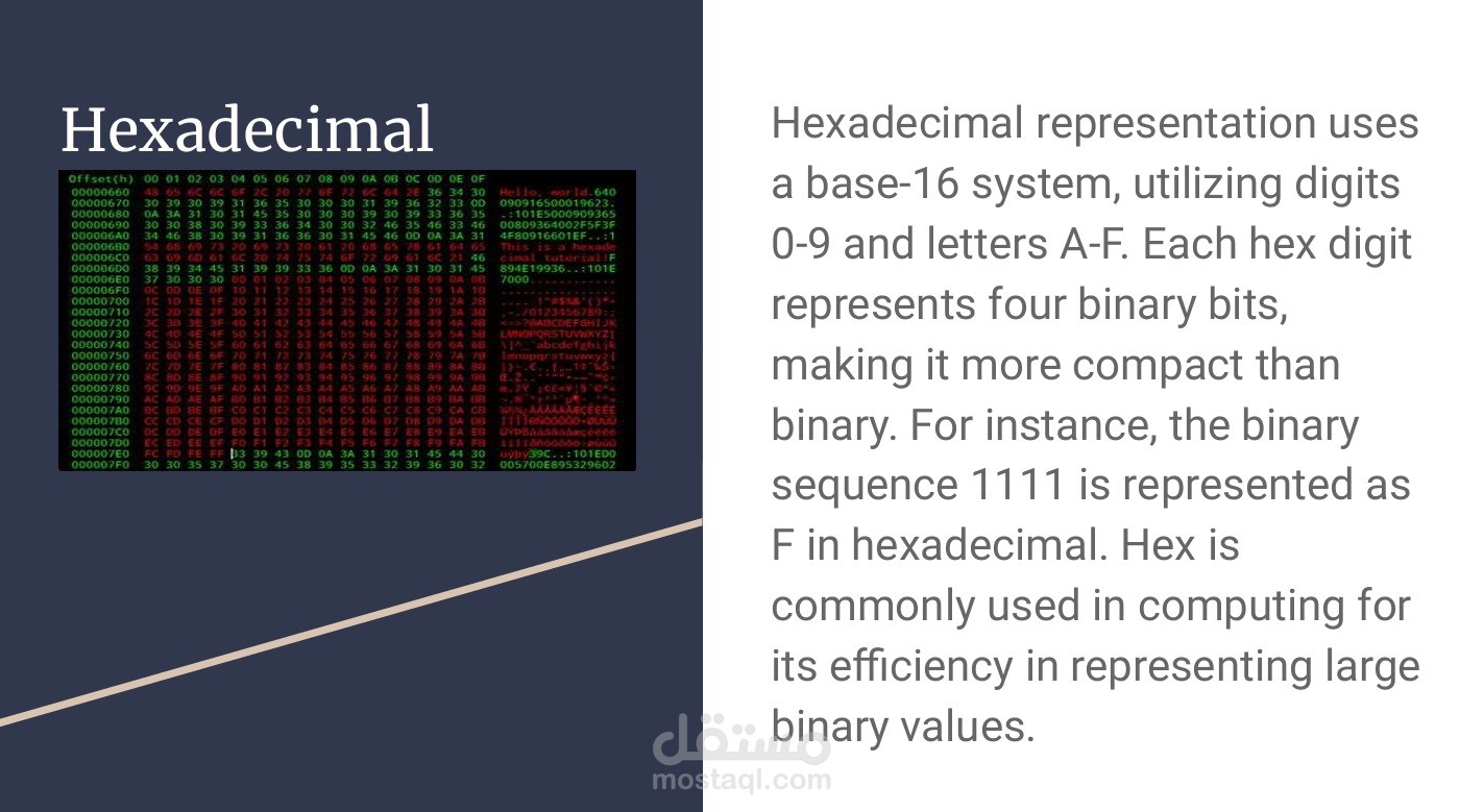 Most Famous Places in New York