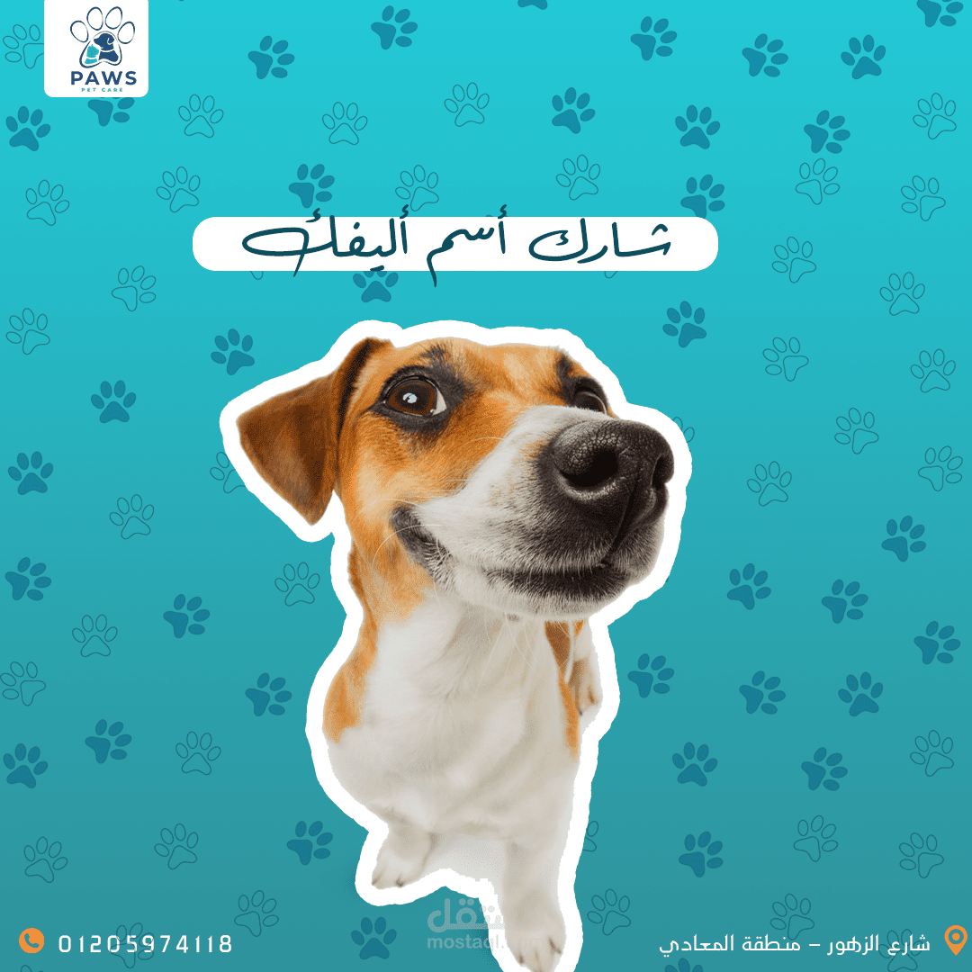 تصاميم سوشيال لمتجر حيوانات أليفة