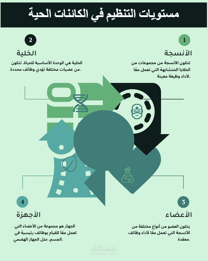 إنفوجرافيك