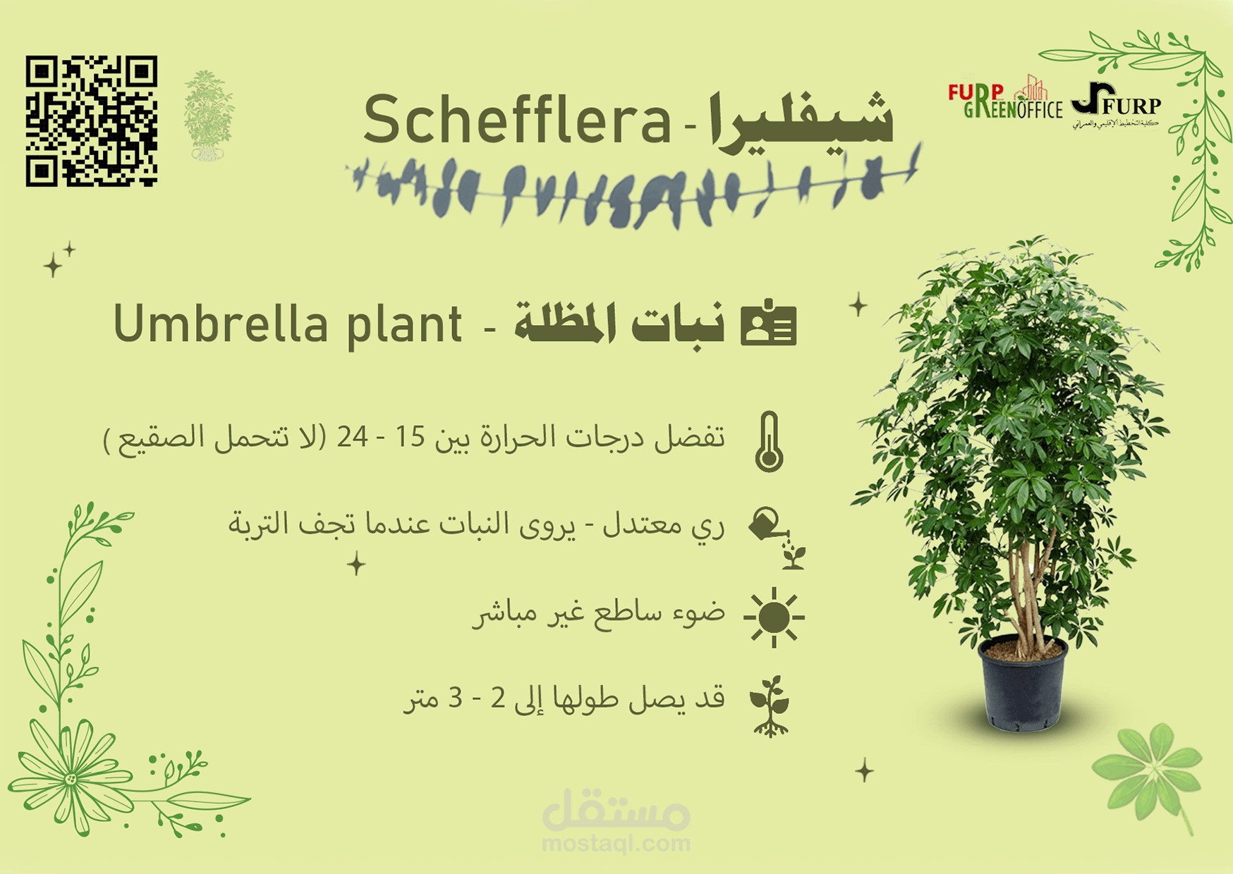 كروت تعريفية للنباتات