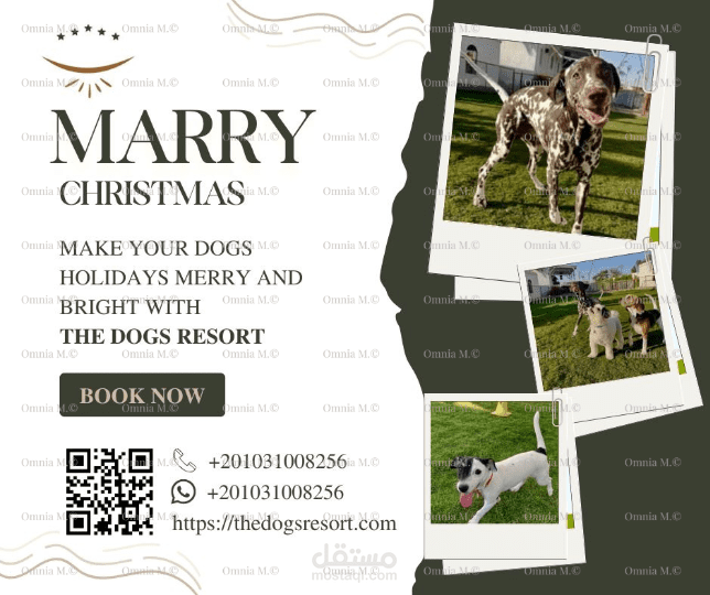 تصميم سوشيال ميديا