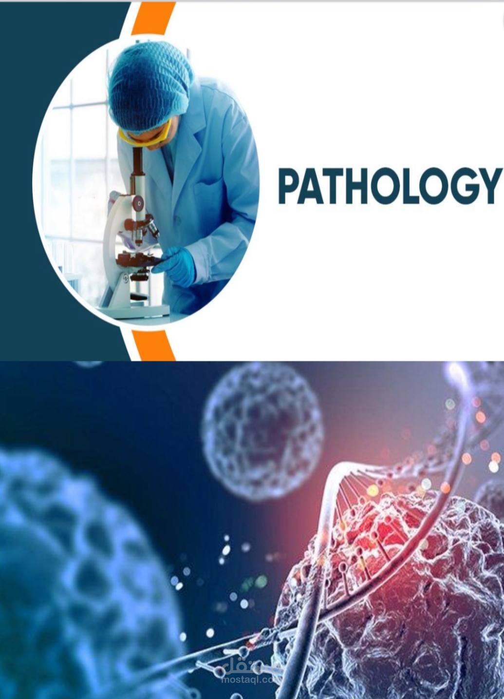 الالتهاب (Inflammation) – Pathology ?