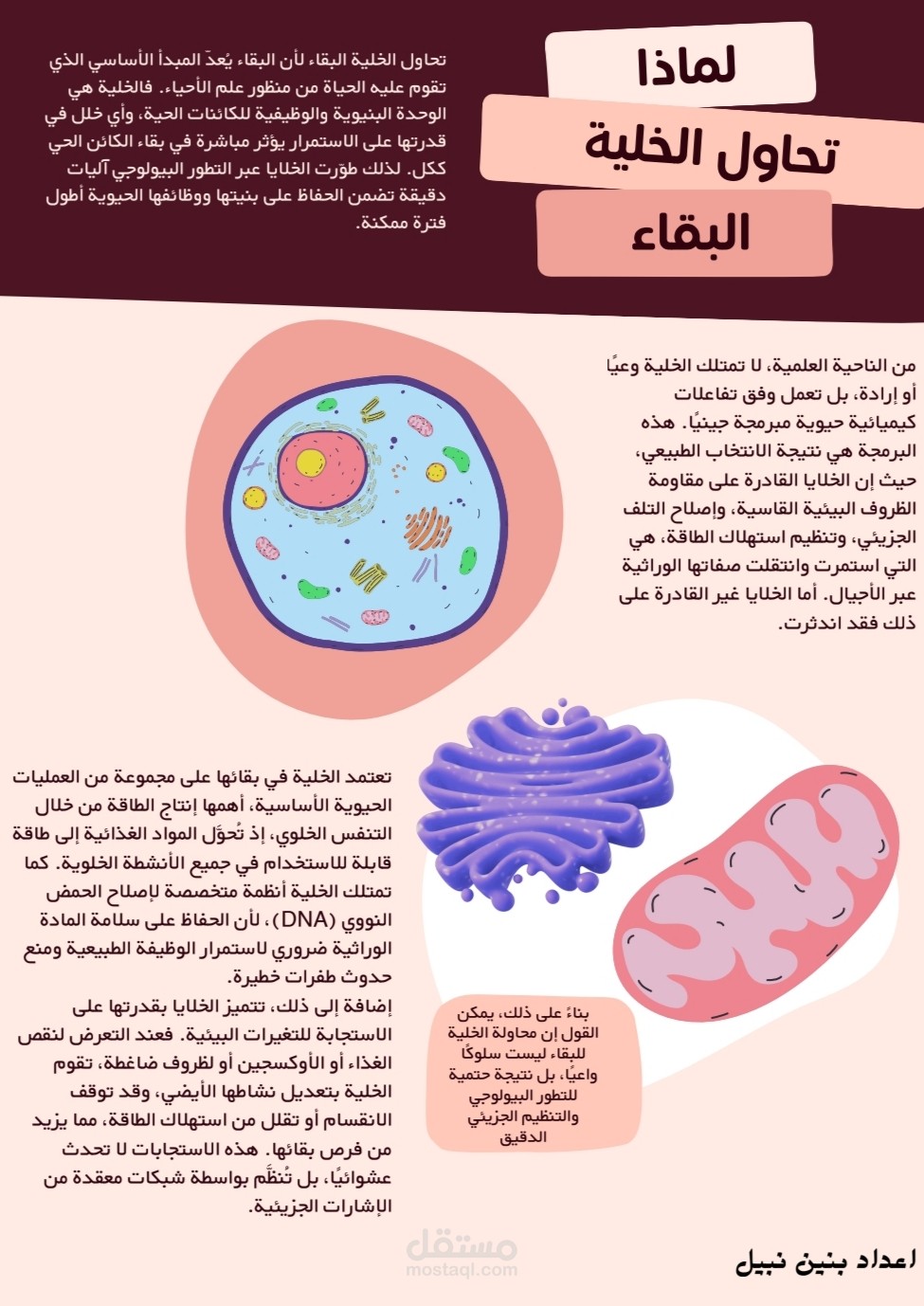 كاتبة محتوى علمي مجلات تقارير مدونات علمية