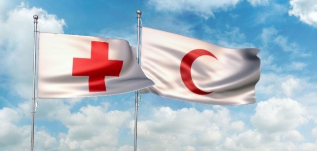 تطبيق معايير الجودة العالمية في الرعاية الصحية.