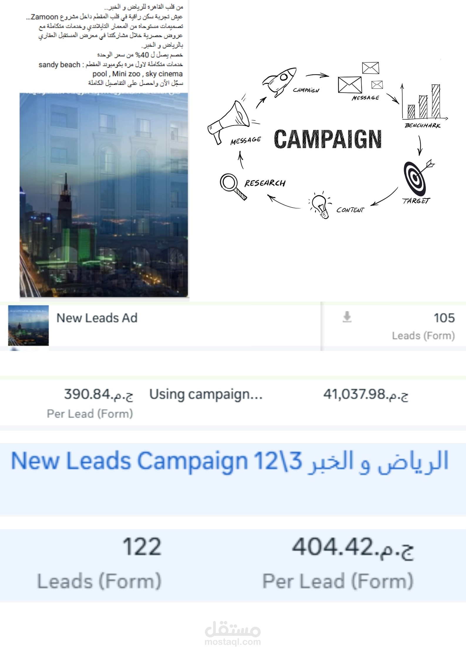 إدارة حملة تسويقية دولية (استهداف السوق السعودي)