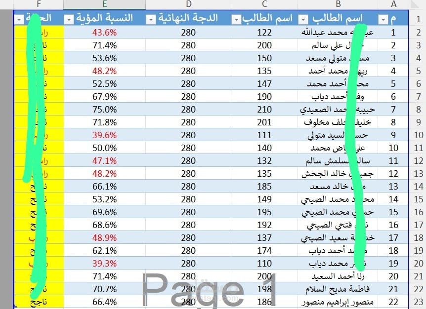 قاعدة بيانات منظمه ( إكسل)