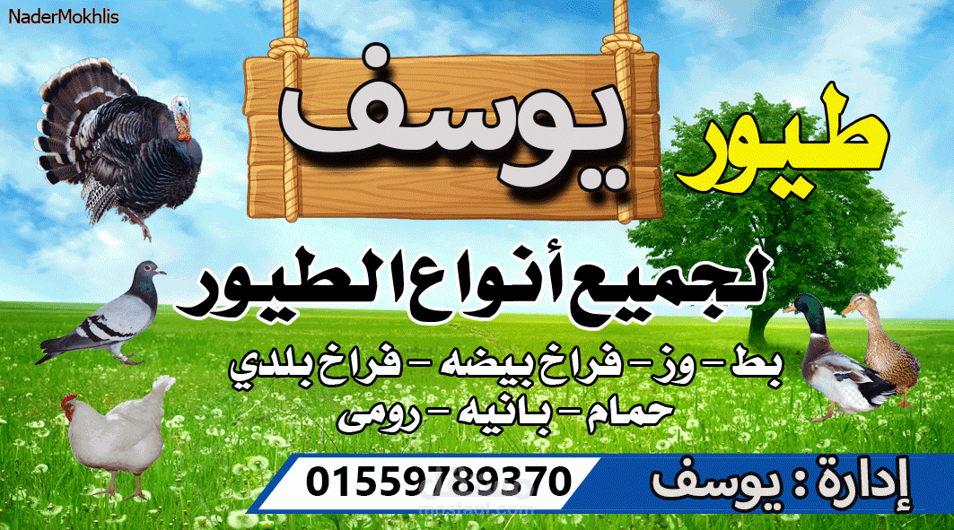 يفطة محل دواجن