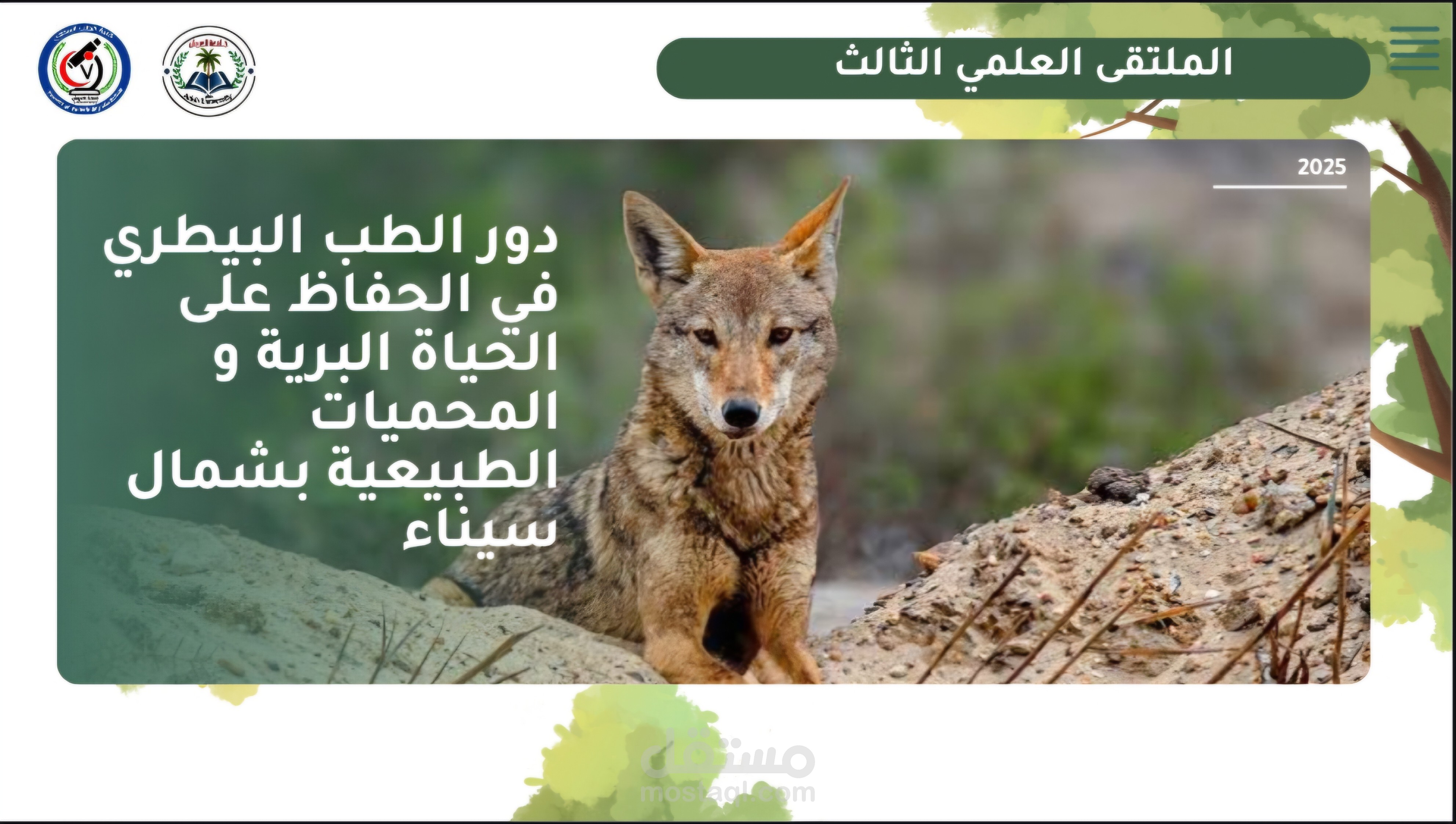 PowerPoint presentations