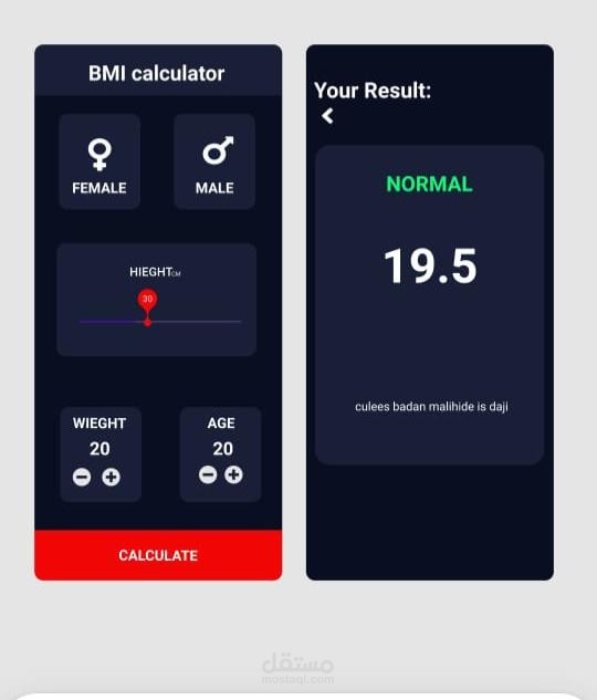 BMI Project -  NTI Project