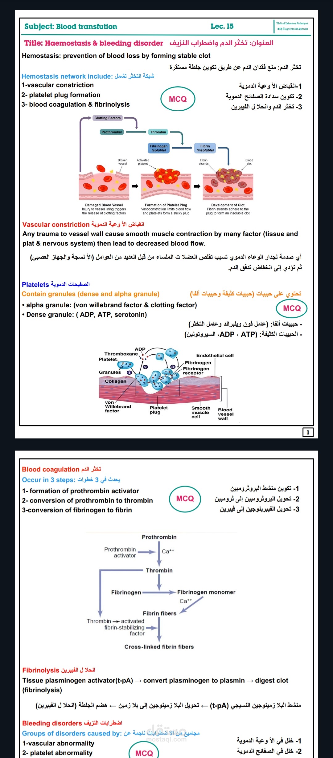 ترجمة ملف دراسي من الانجليزية للعربية بصورة واضحة وترتيب ممتاز يسهل على الطالب فهم المادة