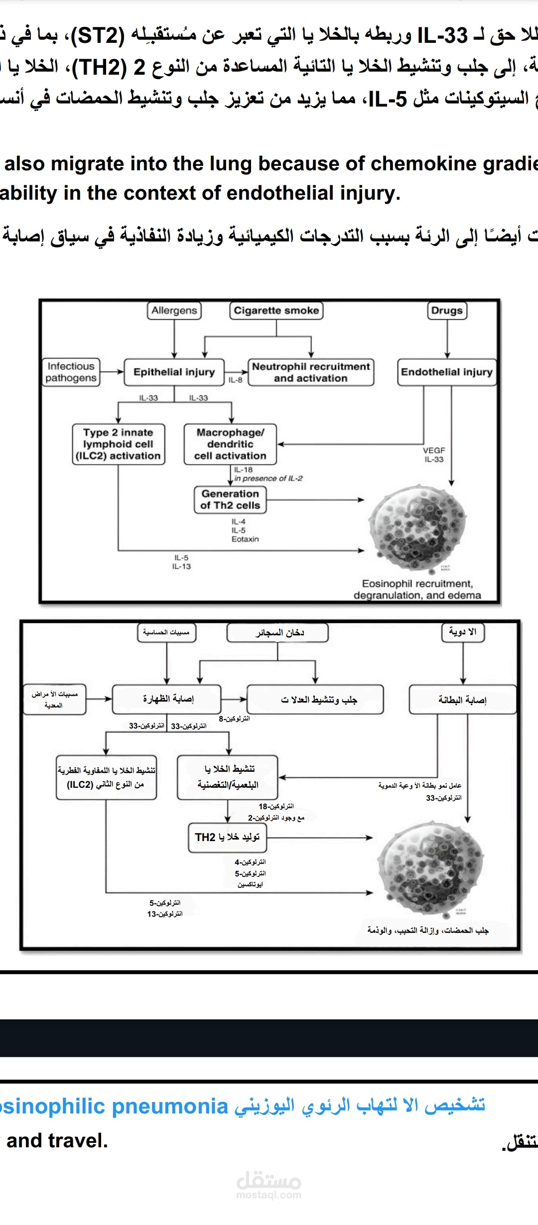 ترجمة المخططات داخل الملف بسهولة ووضوح كبيرين