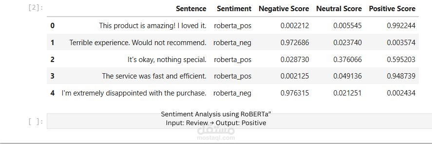 Sentiment Analyis Project