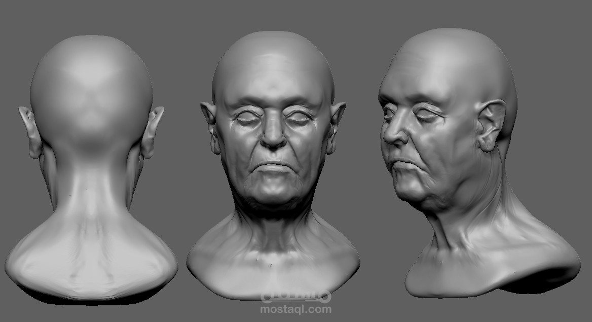 Head Study