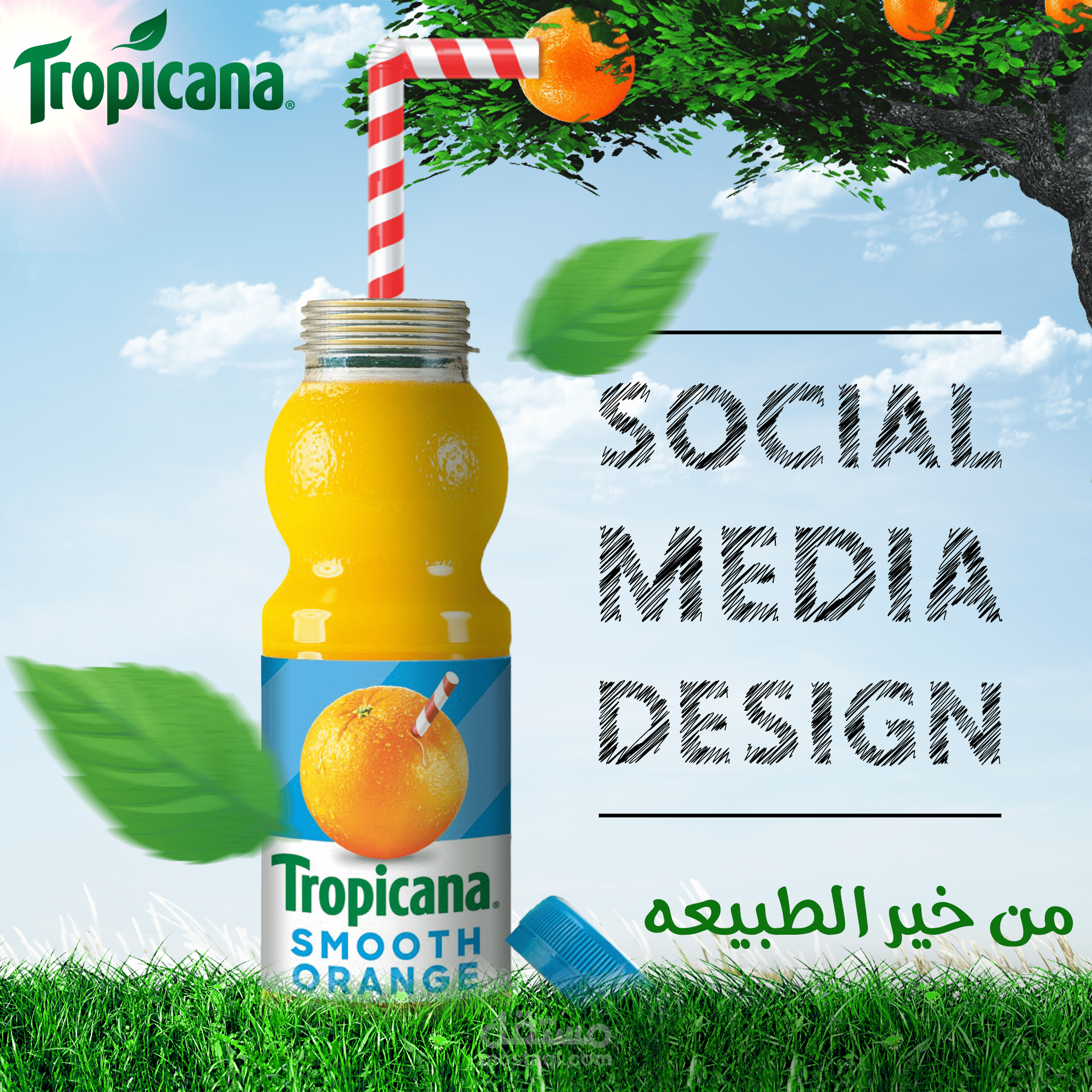 Tropicana | Social media design