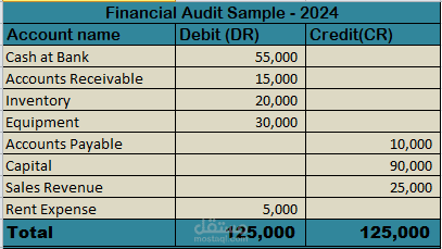إعداد ميزان مراجعة (Trial Balance) وتنظيم حسابات مالية على Excel