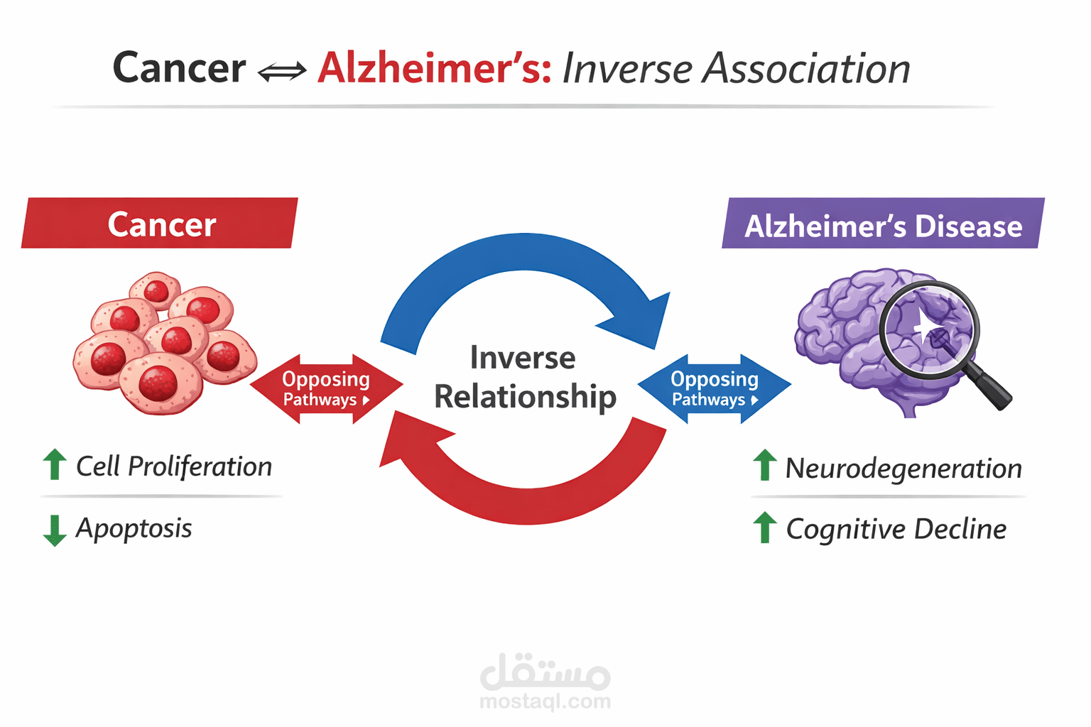 Research Summary: The Inverse Association Between Cancer and Alzheimer’s Disease