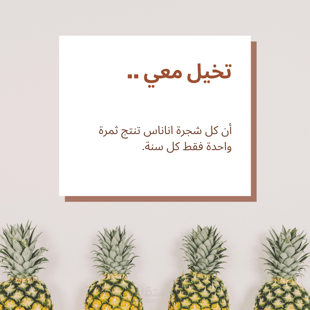 تصميم اعلان