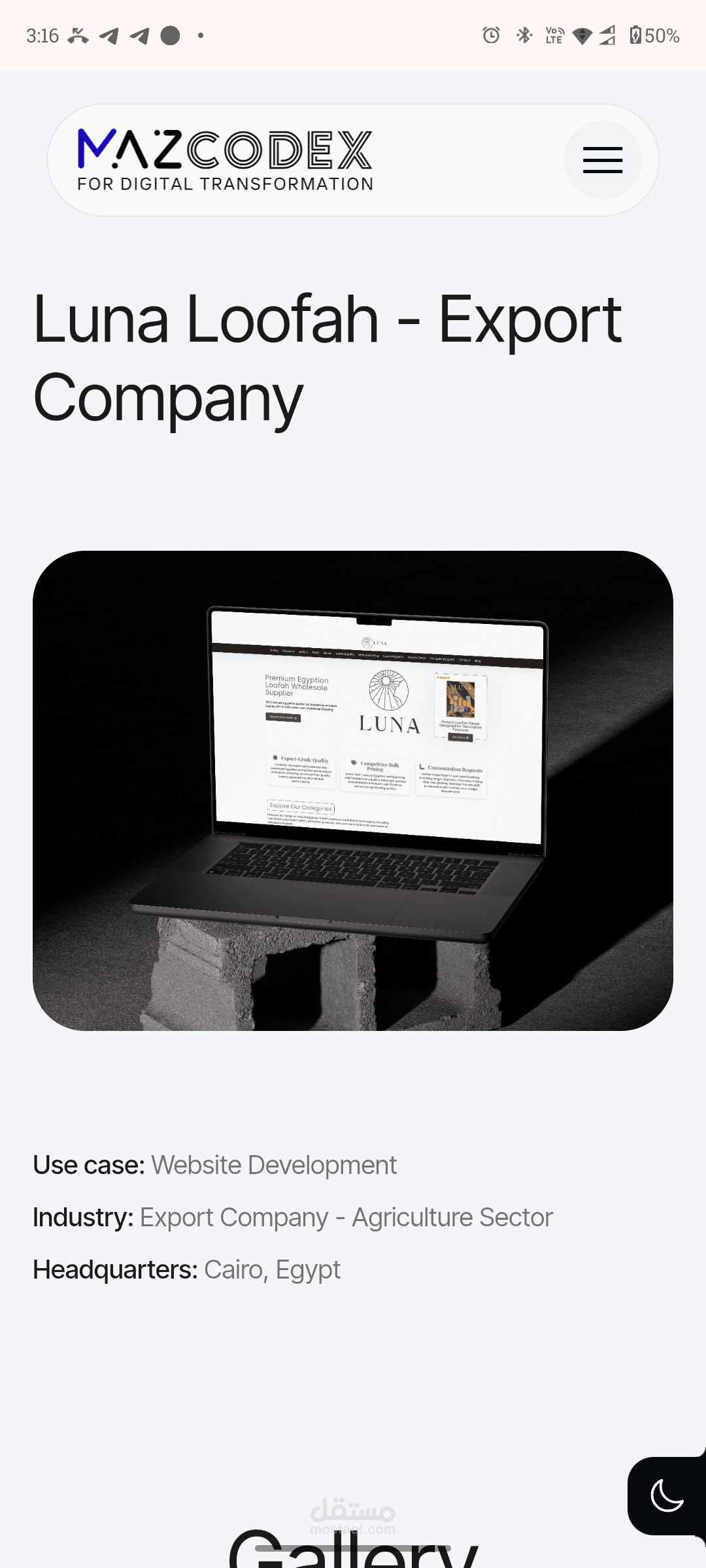 Website development