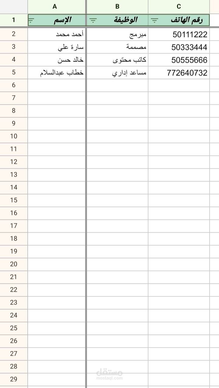 نموذج جدول تنظيم بيانات احترافي