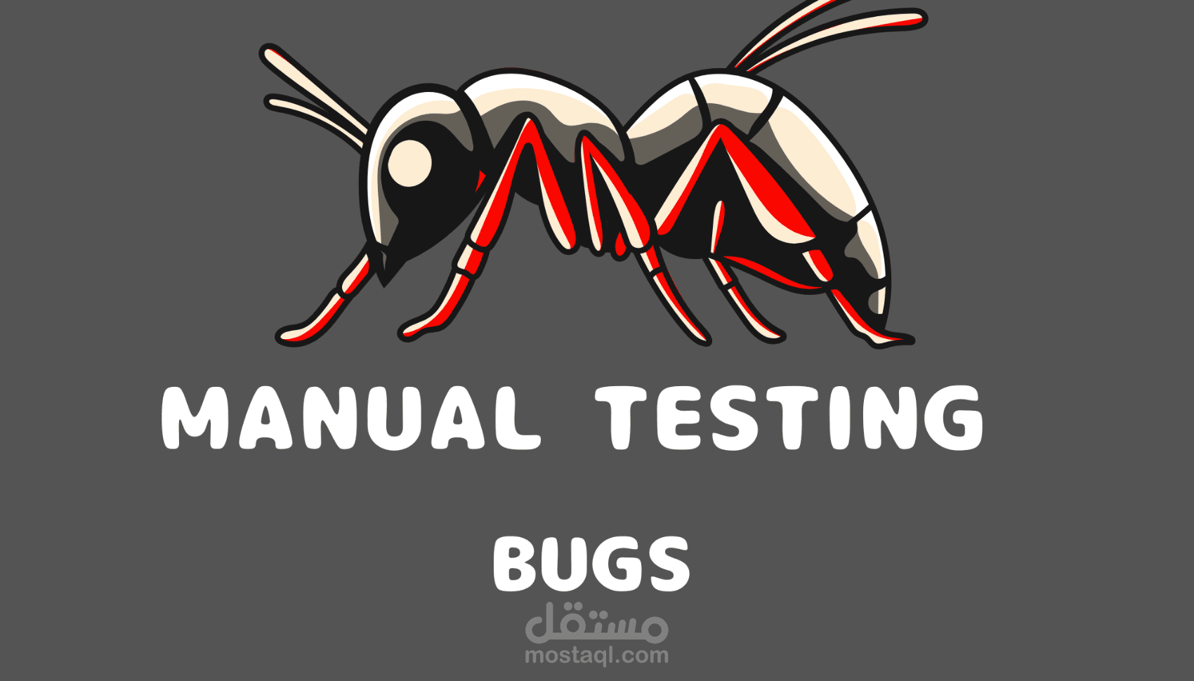 إعداد حالات اختبار (Test Cases) وتوثيق أخطاء لصفحة تسجيل أمازون