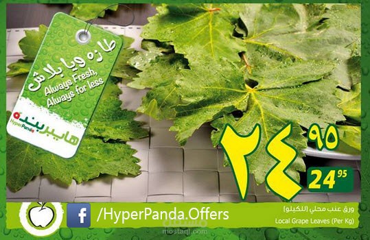 [فيديو ترويجي 7] : صفحة فيس بوك