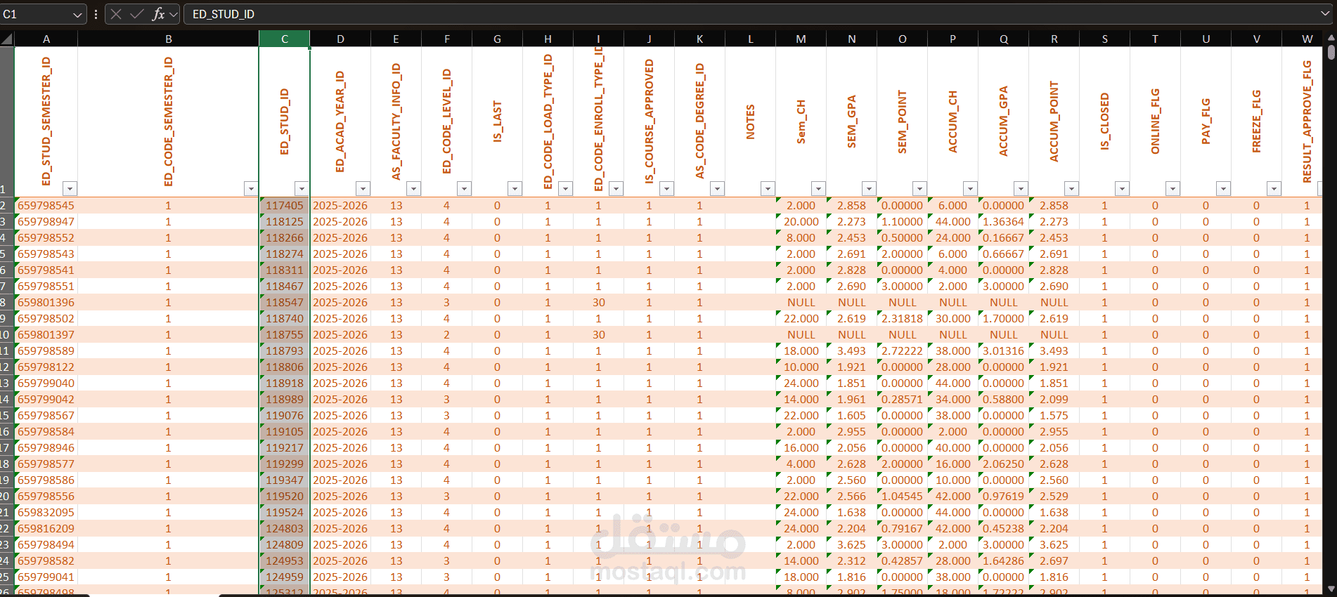 تحليل ومعالجة بيانات Excel باستخدام الدوال المتقدمة