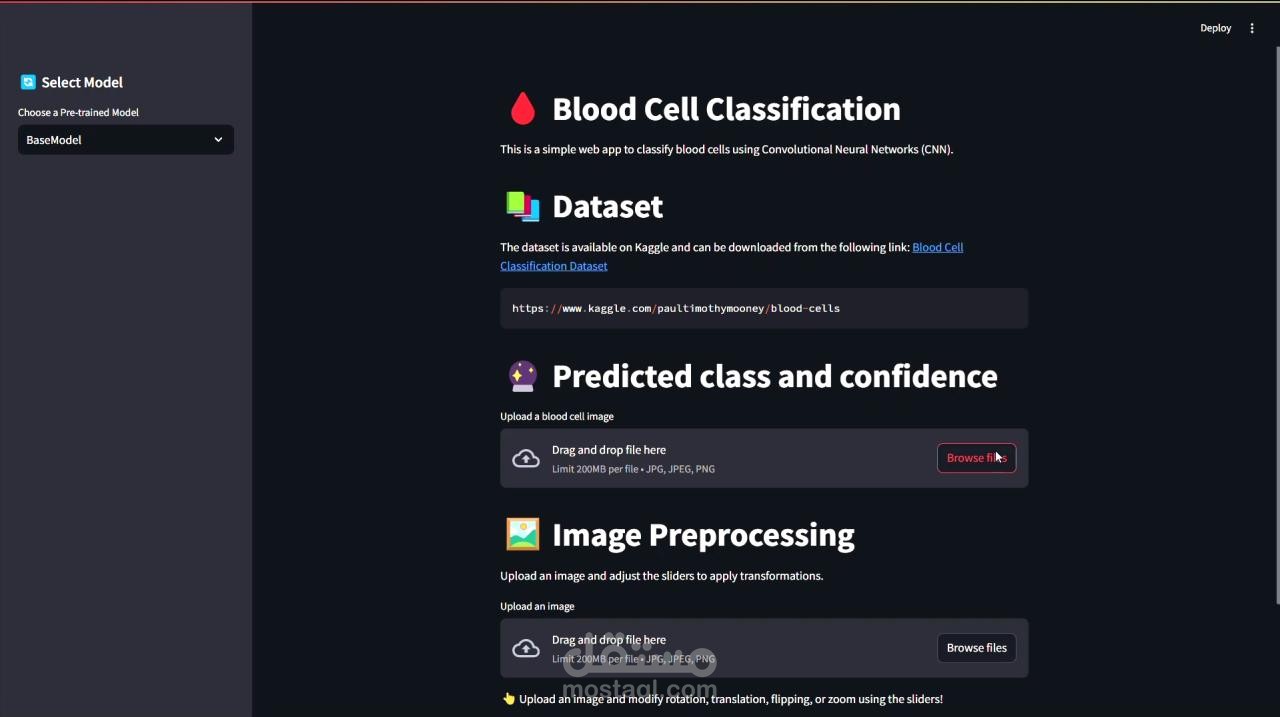 Medical Blood Cell Classification & Diagnostic Web App