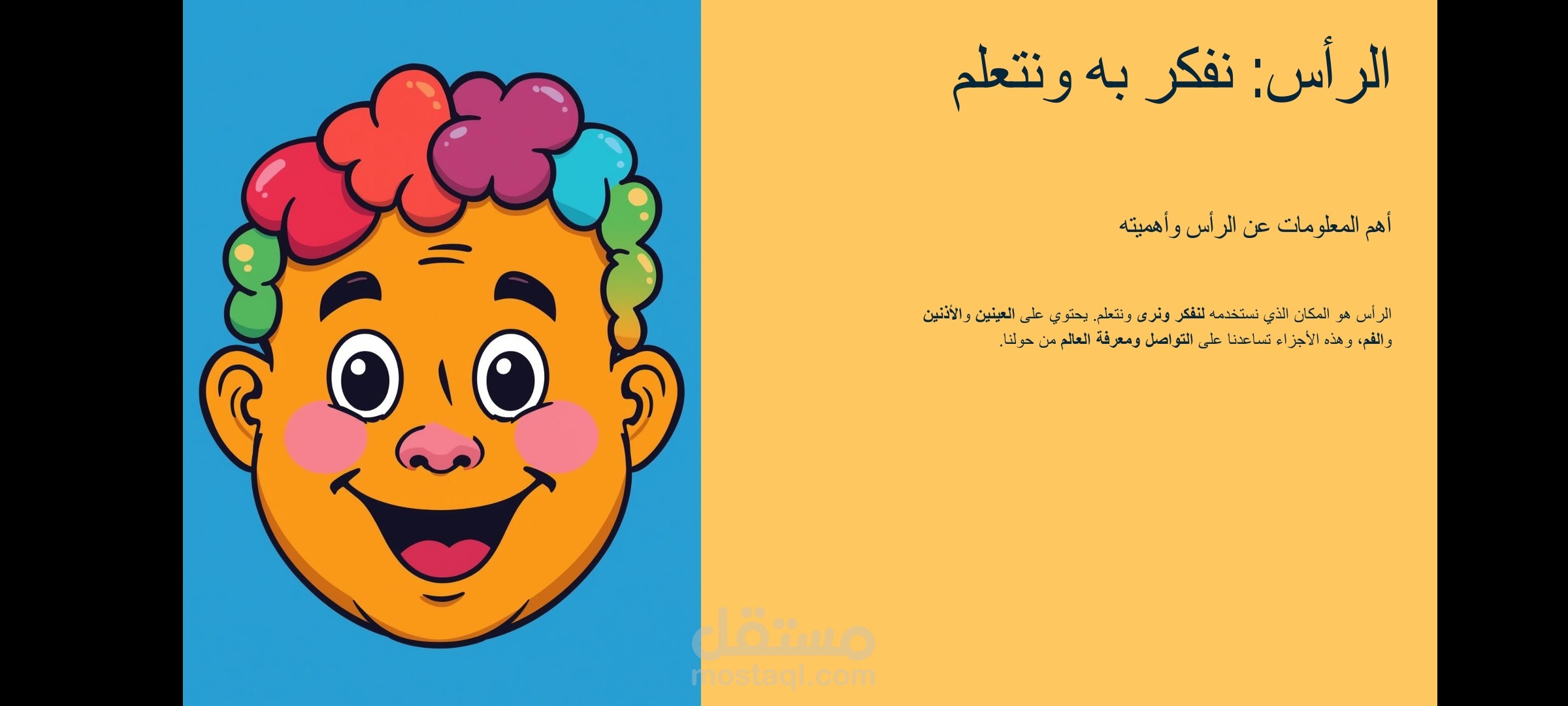 أجزاء الجسم