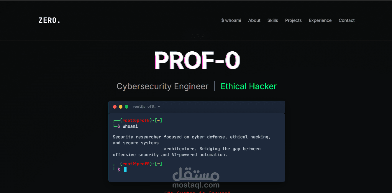 تطوير صفحات هبوط وتعريفية