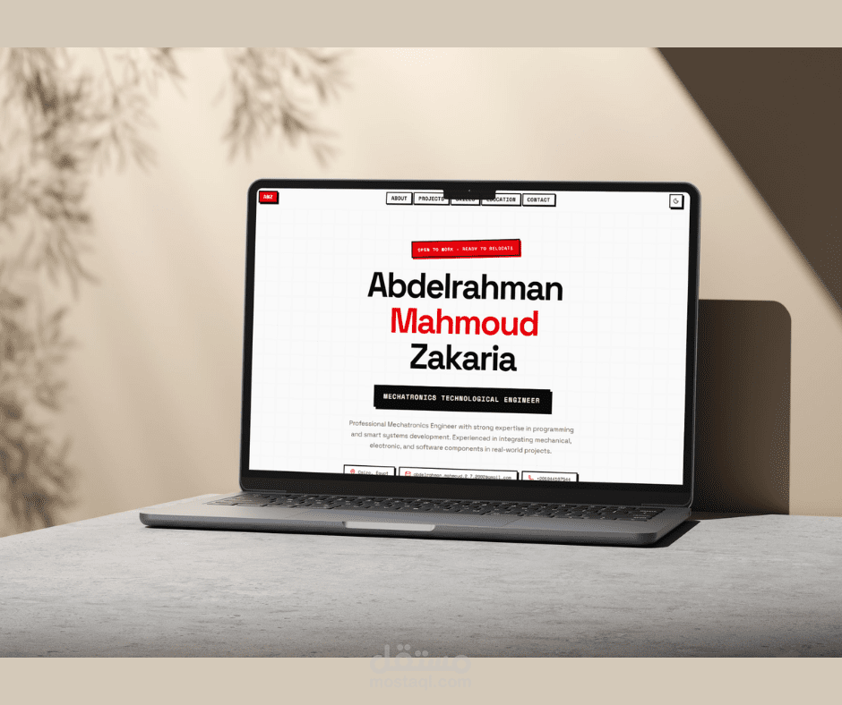 بورتفوليو احترافي