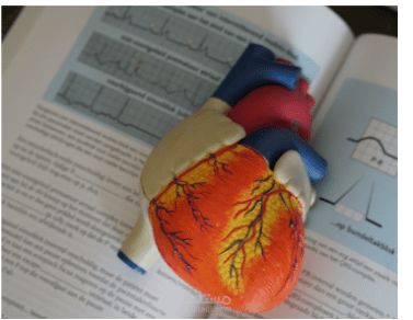 التنبؤ بأمراض القلب باستخدام التعلم الآلي