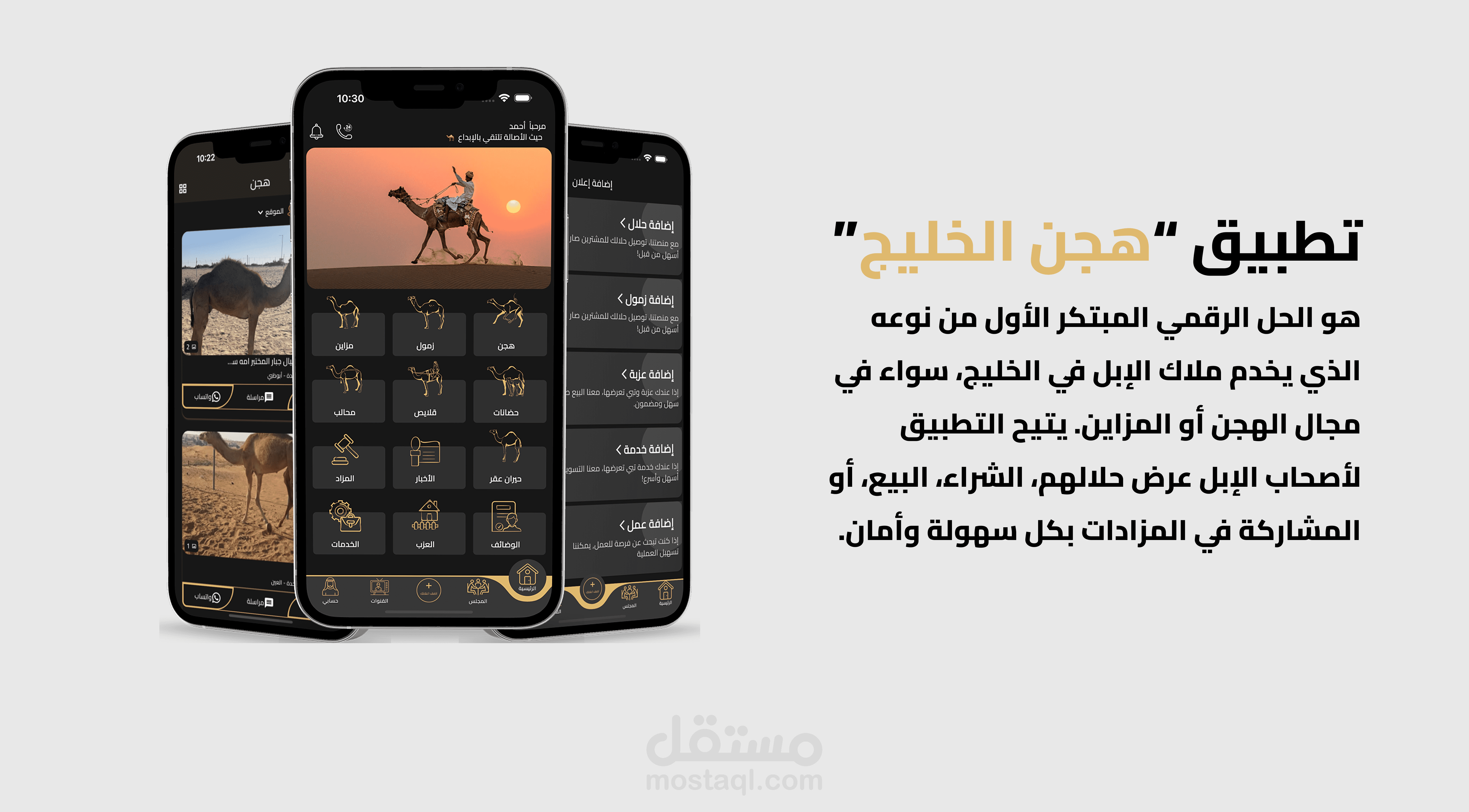 تطبيق : هجن الخليج