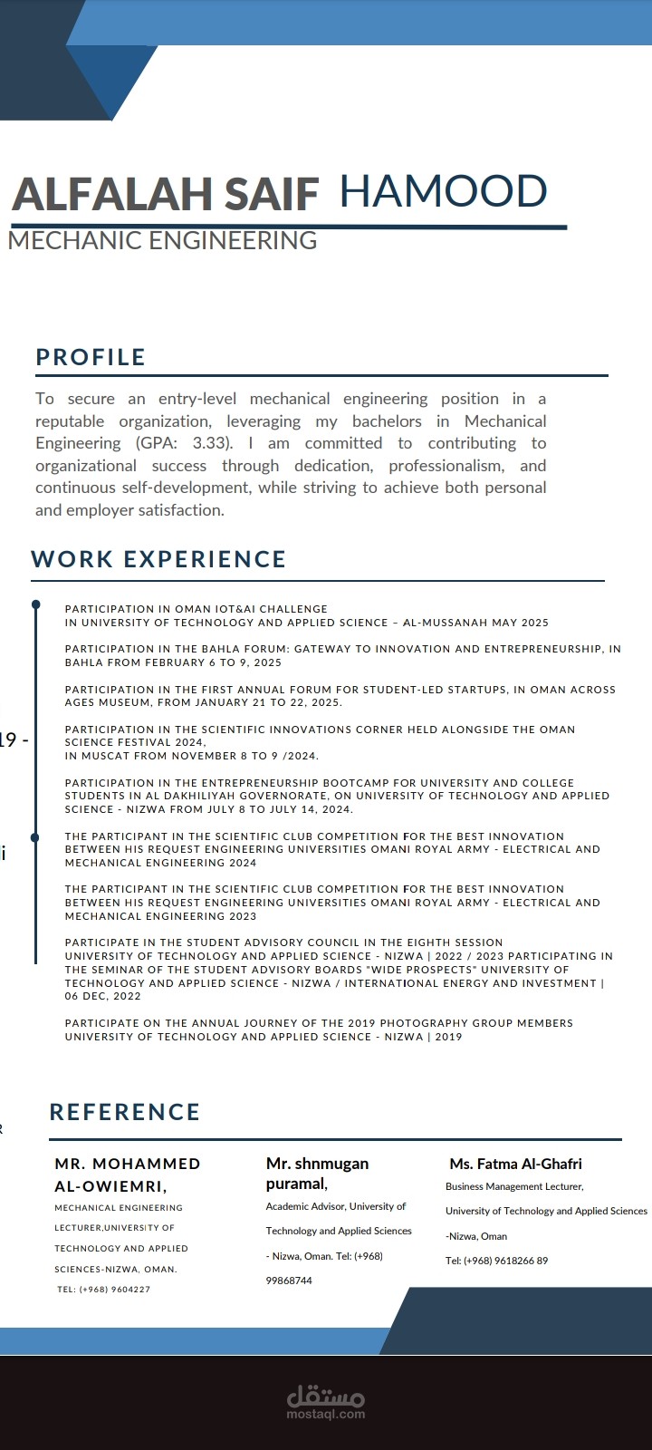Professional CV