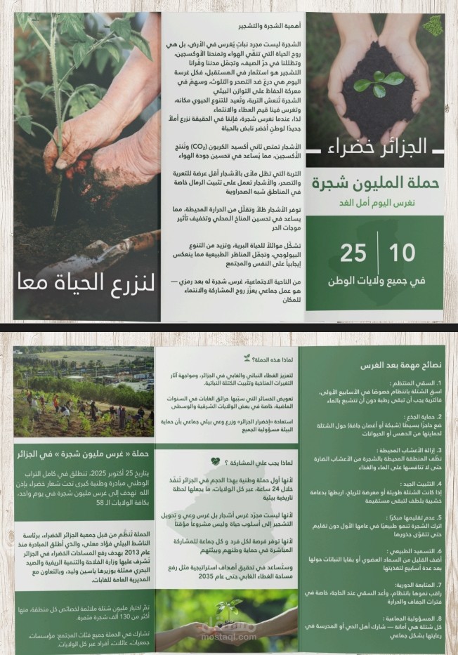 تصميم مطوية توعوية عن التشجير