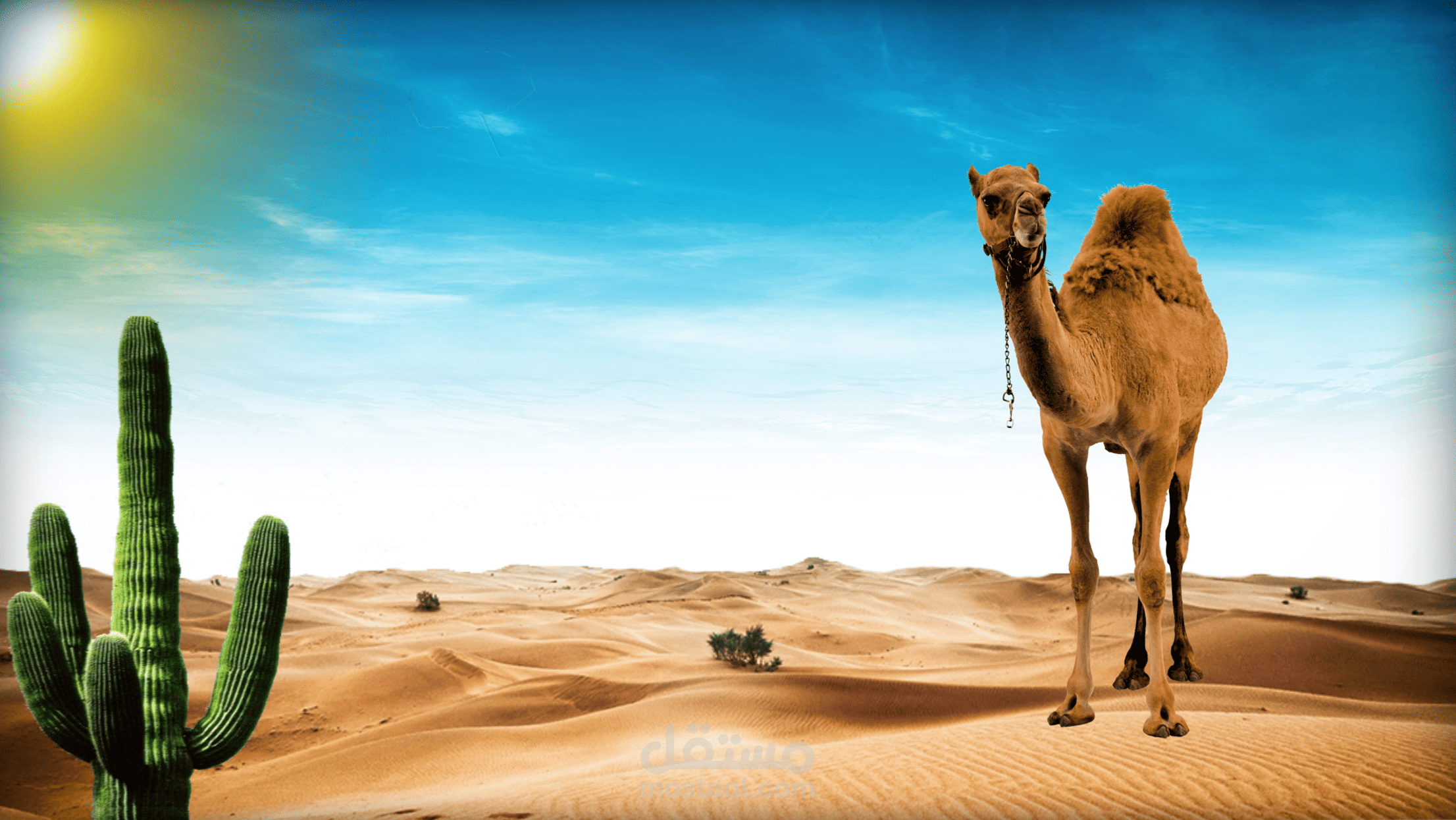 مقدمة بسيطة لمقطع رحلة في قلب الصحراء.
