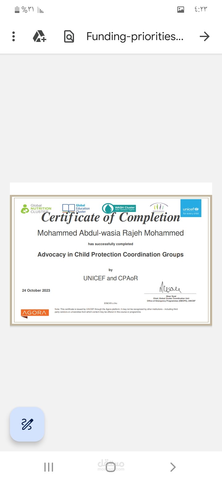 اعمل في المنظمات الدوليه ترجمه