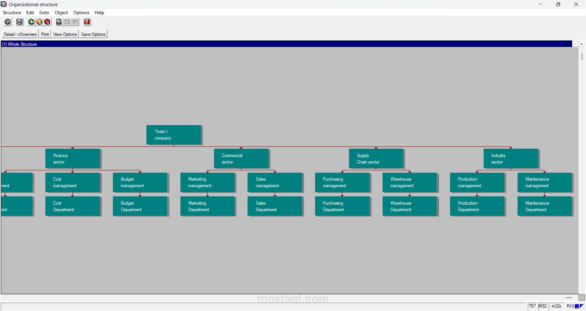 Creating the organizational structure of SCM