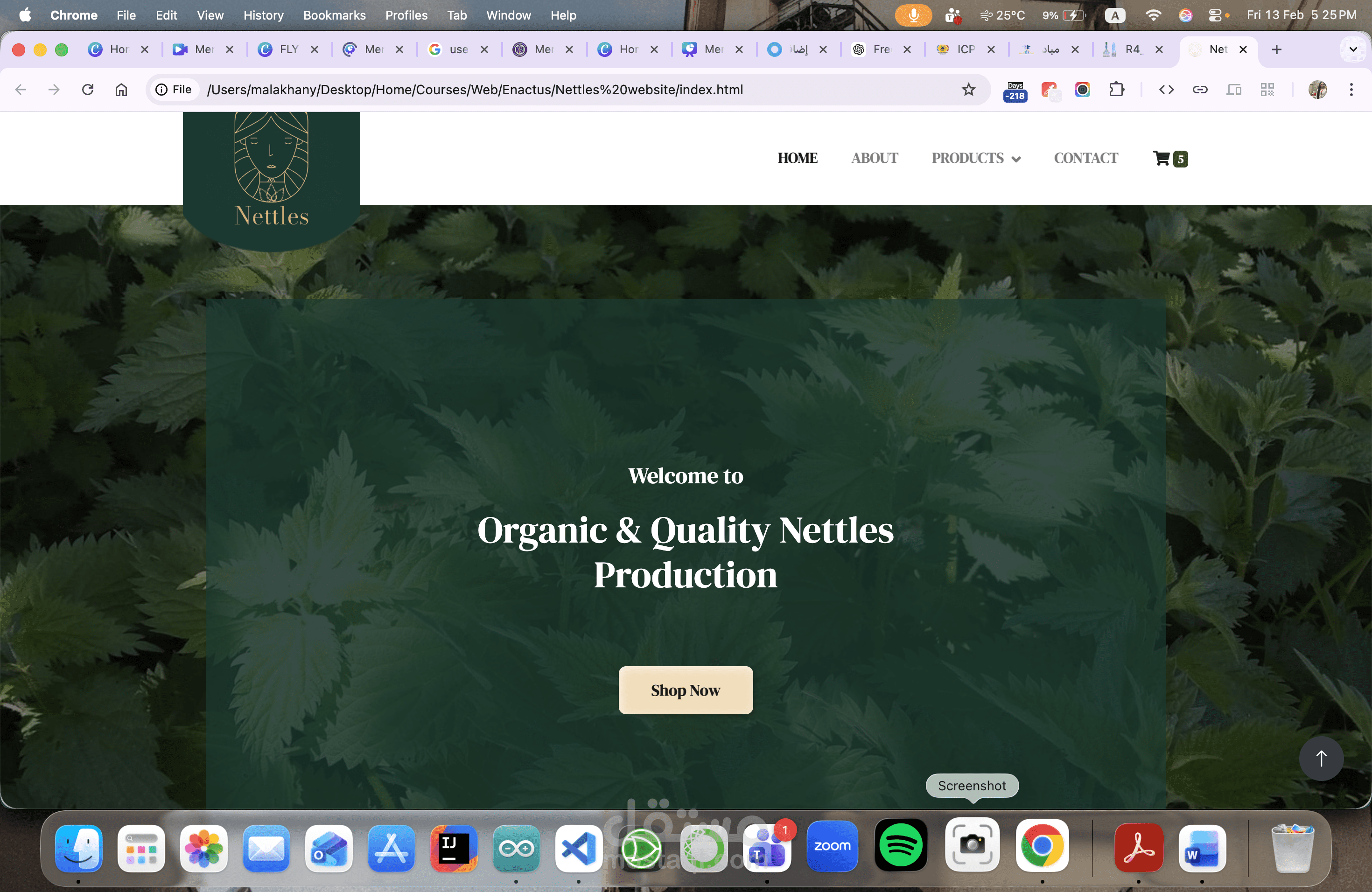 ويبسايت بيع