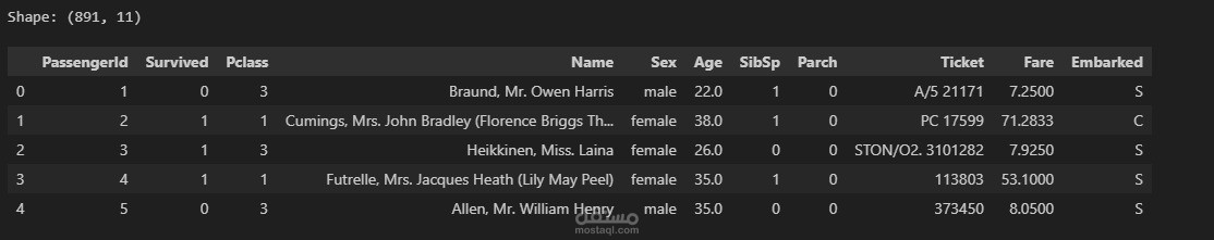 التنبؤ بنجاة ركاب سفينة Titanic