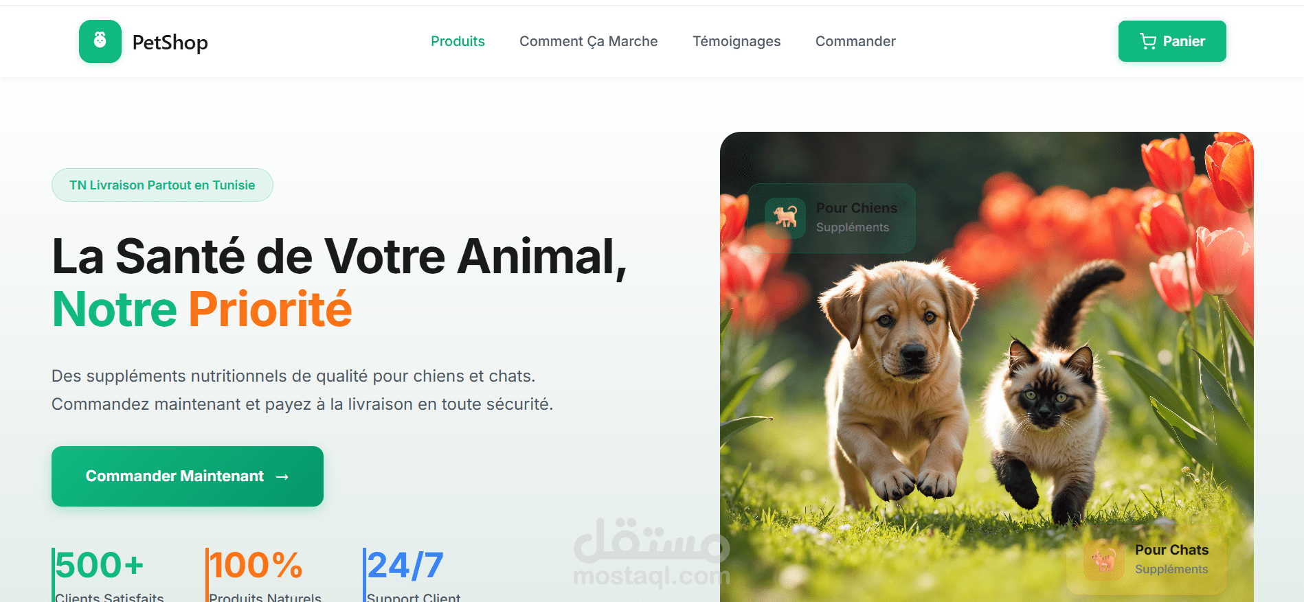 متجر ألكتروني عالي الدقة petshop
