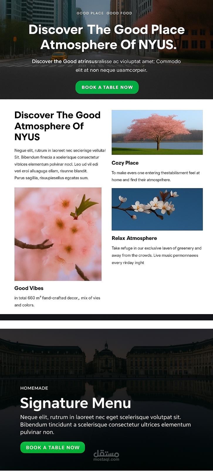 تصميم وردبريس