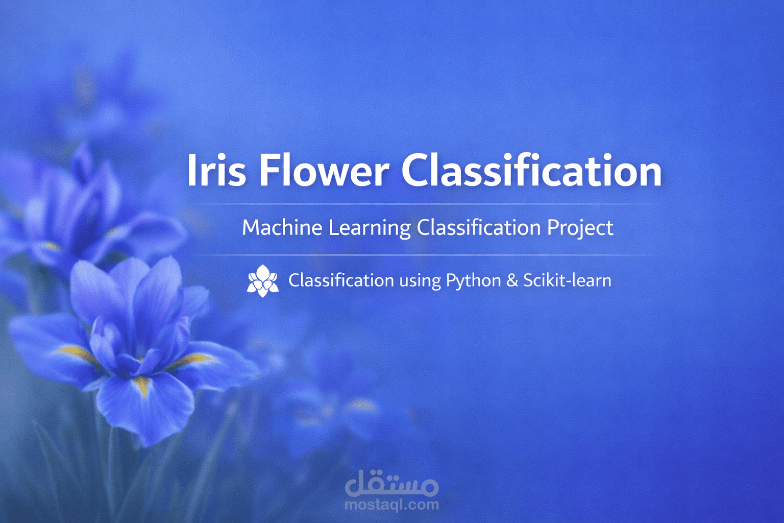 تصنيف زهرة Iris باستخدام تعلم الآلة
