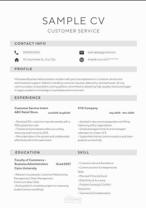 Business CV Design