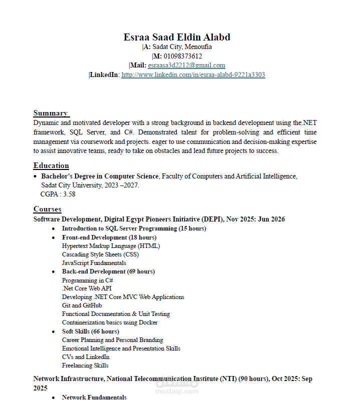 سيرة ذاتية احترافية