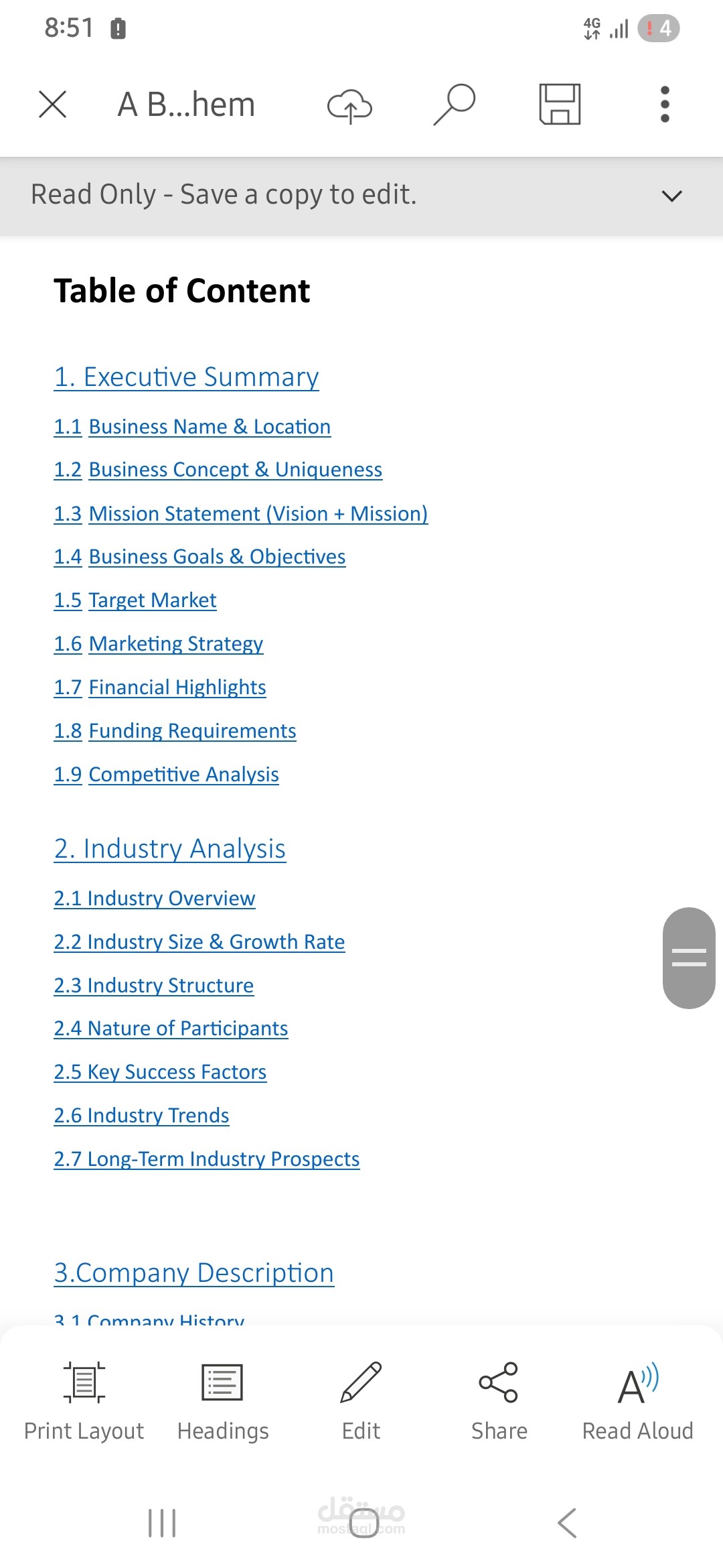 Full Business Plan & Feasibility Study for E-commerce Startup