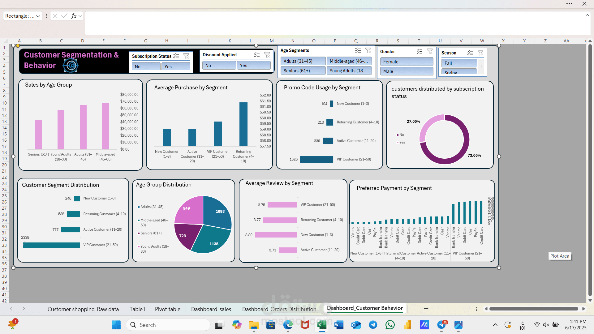 Customer Behavior_Excel project